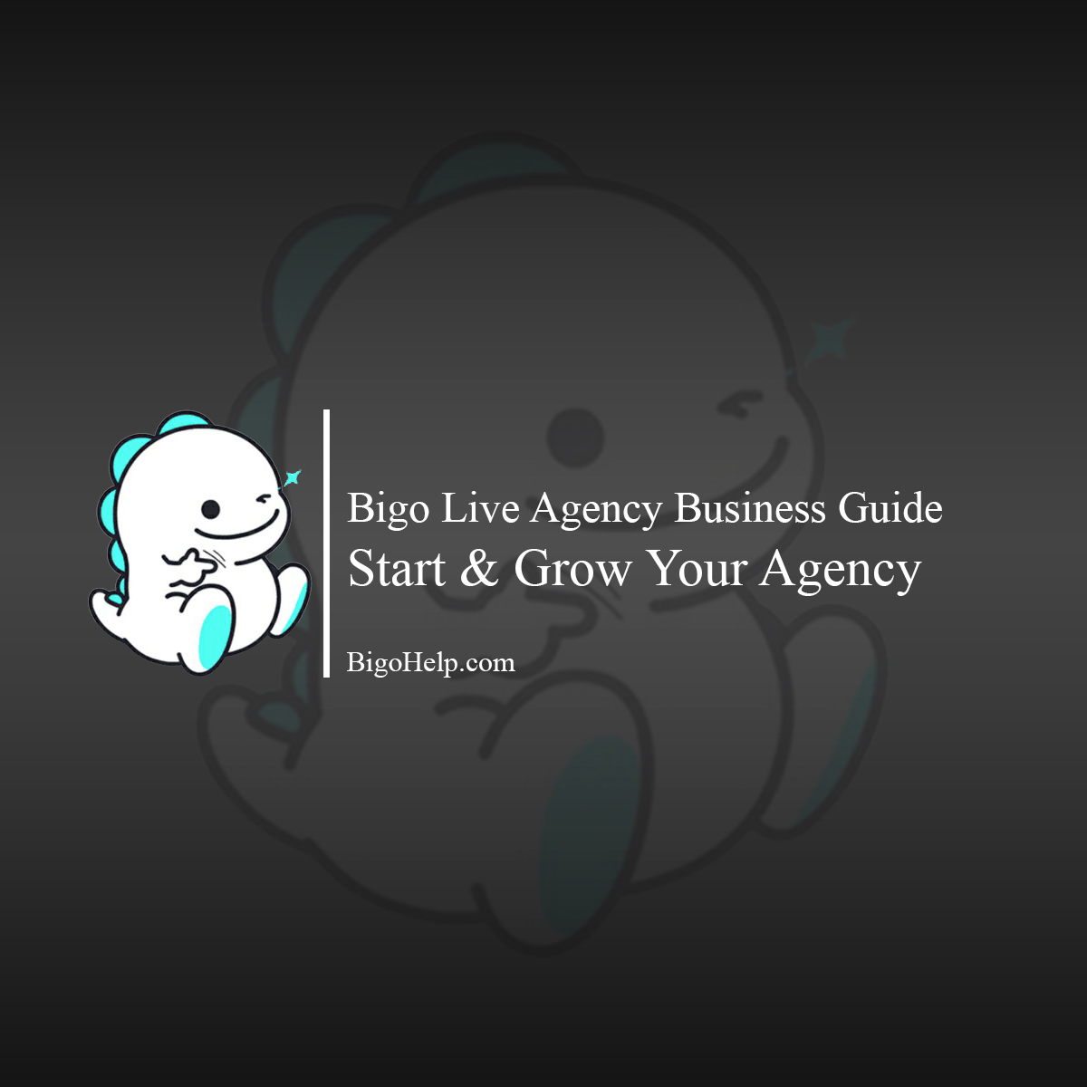 Bigo Live Agency Business Guide - Start & Grow Your Agency